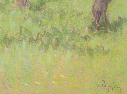 Marcel POGGIOLI, Fiori di ciliegio in Provenza