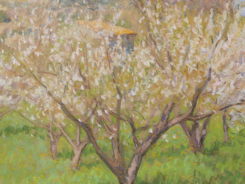Marcel POGGIOLI, Fiori di ciliegio in Provenza