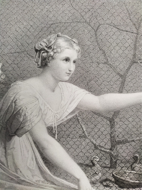 Etching the Girl With Chicks Engraving After Jean-louis Hamon Old Print