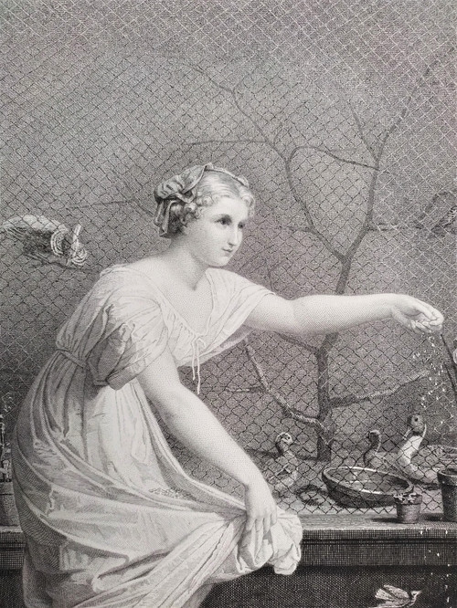 Etching the Girl With Chicks Engraving After Jean-louis Hamon Old Print