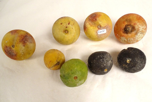 Ensemble 8 Fruits Marbre Carrare Polychrome Pommes Figues Abricot XIXème