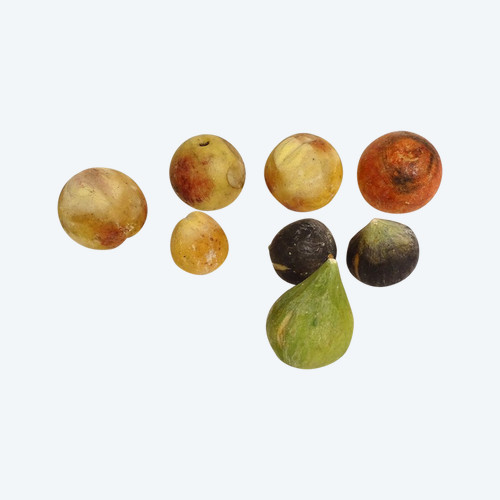Ensemble 8 Fruits Marbre Carrare Polychrome Pommes Figues Abricot XIXème