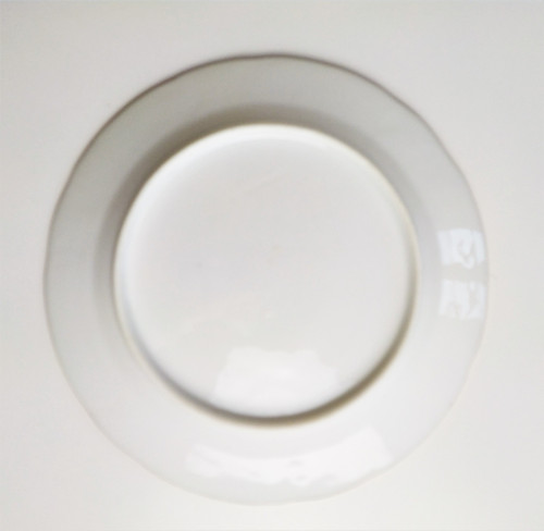 Assiette En Porcelaine Peinte 19ème
