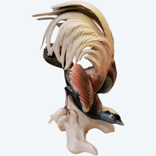 Manufacture Karl Ens Meissen Paradisier Oiseau Du Paradis
