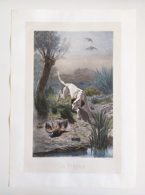 Hund Jagd Aquarellierte Lithographie nach Albert Felix Justin de la Cour de Balleroy