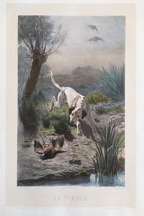 Hund Jagd Aquarellierte Lithographie nach Albert Felix Justin de la Cour de Balleroy