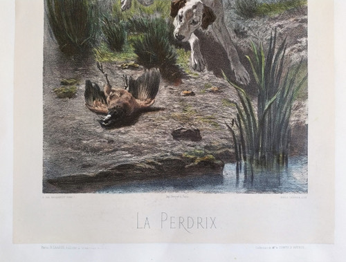 Hund Jagd Aquarellierte Lithographie nach Albert Felix Justin de la Cour de Balleroy