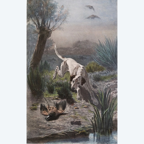 Hund Jagd Aquarellierte Lithographie nach Albert Felix Justin de la Cour de Balleroy