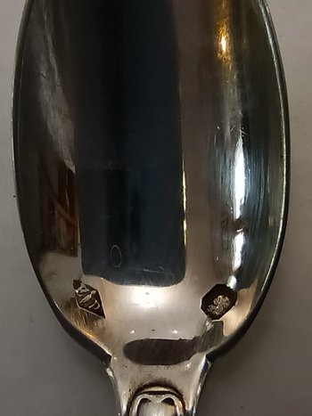 12 Mocha shell model spoons