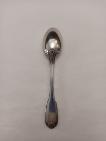 12 Mocha shell model spoons