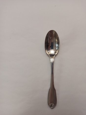 12 Mocha shell model spoons