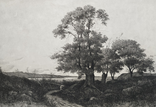 Landschaft der Loire Radierung von Pirodon nach Harpignies 19