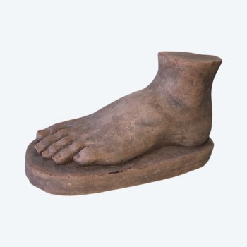 Foot Study. XIXth Workshop Terracotta.