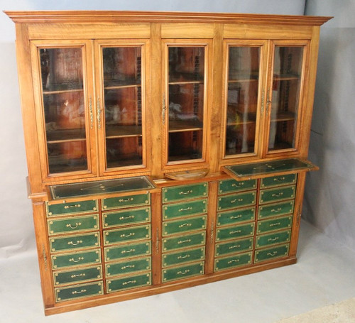 Bedeutende Mahagoni-Cartonnier-Bibliothek aus dem 19. Jahrhundert