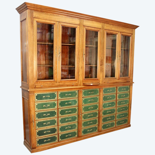 Bedeutende Mahagoni-Cartonnier-Bibliothek aus dem 19. Jahrhundert