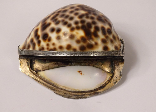 Tabatière Coquillage Moucheté Porcelaine Monture Argent Massif XIXè Siècle