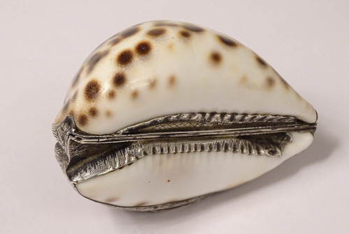Tabatière Coquillage Moucheté Porcelaine Monture Argent Massif XIXè Siècle