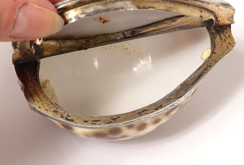 Tabatière Coquillage Moucheté Porcelaine Monture Argent Massif XIXè Siècle