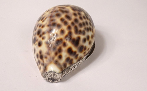 Tabatière Coquillage Moucheté Porcelaine Monture Argent Massif XIXè Siècle