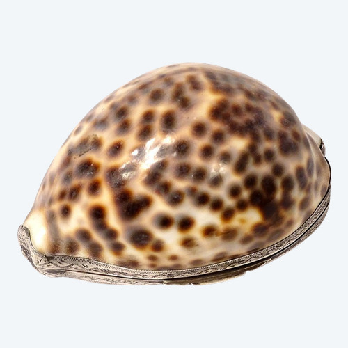 Tabatière Coquillage Moucheté Porcelaine Monture Argent Massif XIXè Siècle