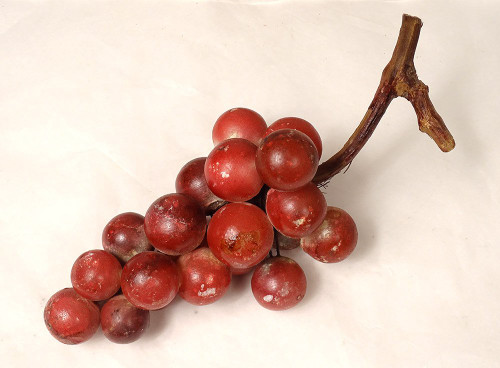 Set di 21 frutti in marmo policromo di Carrara Uve Pesche Ciliegie XIX secolo