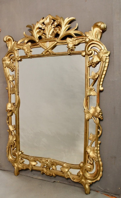 Large Raisin Mirror with Parecloses