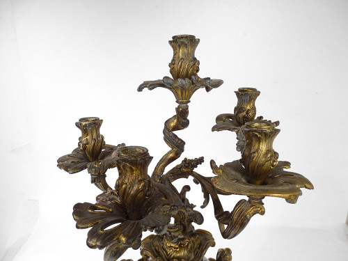 Large candelabra 5 lights bronze morello cherry foliage shells 19th century