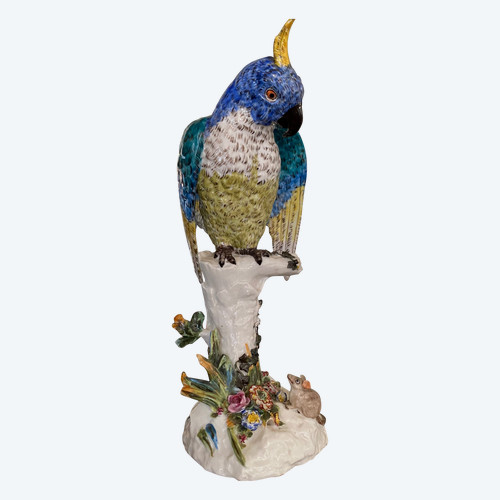Paris porcelain parrot