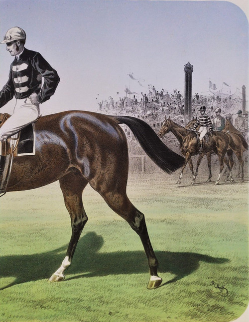 Trent Cheval Monté Par Cannon Lithographie XIXème  Albert Adam Par Broomielaw,  The Mersy