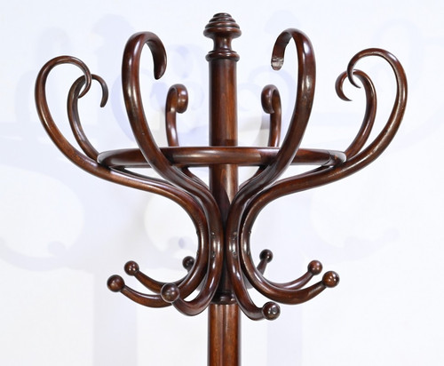 Perroquet Thonet modèle n°10.401 en Hêtre – 1ère Partie XXe