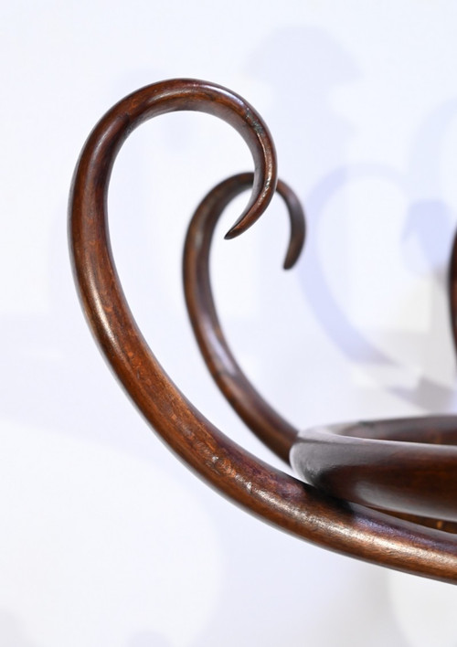 Perroquet Thonet modèle n°10.401 en Hêtre – 1ère Partie XXe