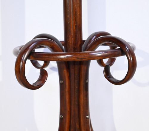 Perroquet Thonet modèle n°10.401 en Hêtre – 1ère Partie XXe
