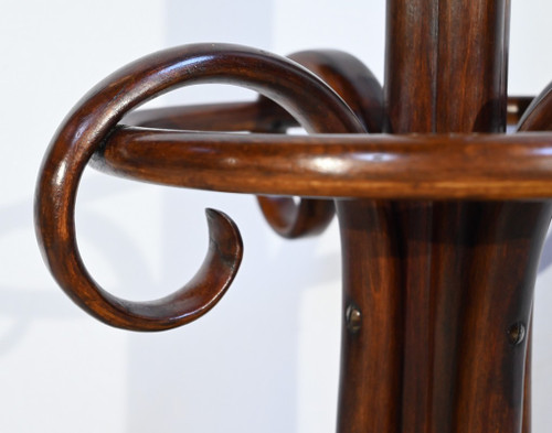 Perroquet Thonet modèle n°10.401 en Hêtre – 1ère Partie XXe
