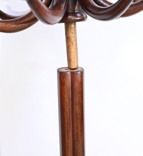 Perroquet Thonet modèle n°10.401 en Hêtre – 1ère Partie XXe