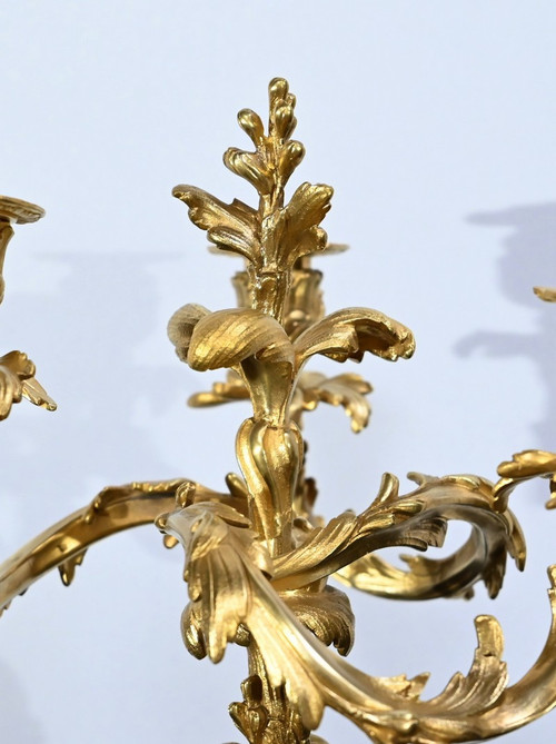 Coppia di candelabri in bronzo dorato, stile Luigi XV – Fine XIX secolo