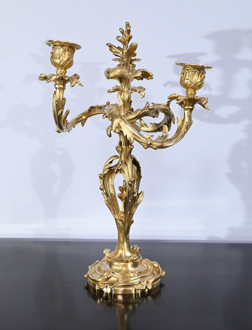 Coppia di candelabri in bronzo dorato, stile Luigi XV – Fine XIX secolo