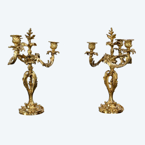 Coppia di candelabri in bronzo dorato, stile Luigi XV – Fine XIX secolo