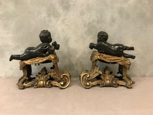Antique gilded and patinated bronze andirons from the 19th century