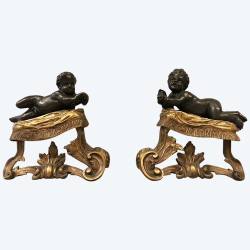 Antique gilded and patinated bronze andirons from the 19th century