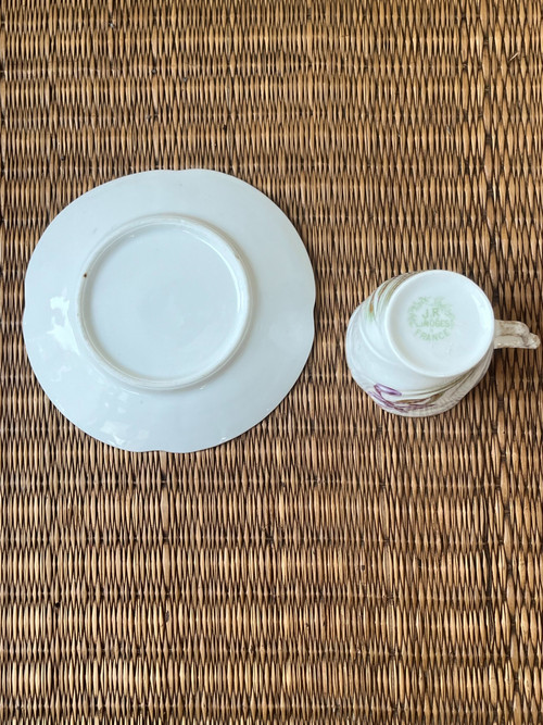 Limoges porcelain cup and saucer (Early 20th century) - Iris motif
