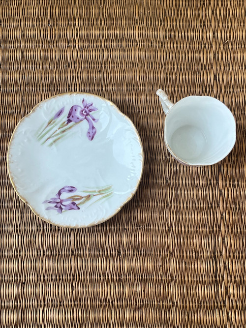 Limoges porcelain cup and saucer (Early 20th century) - Iris motif
