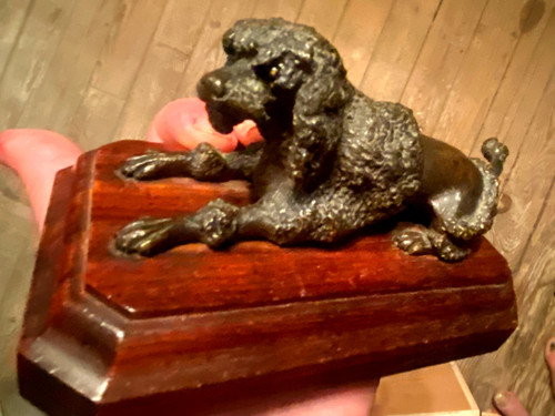 Königspudel aus patinierter Bronze auf einem Sockel aus Edelholz mit Löwenfrisur Schwefelaugen XIX.