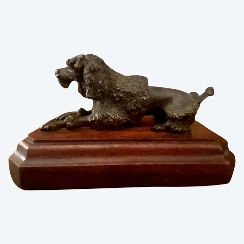 Königspudel aus patinierter Bronze auf einem Sockel aus Edelholz mit Löwenfrisur Schwefelaugen XIX.