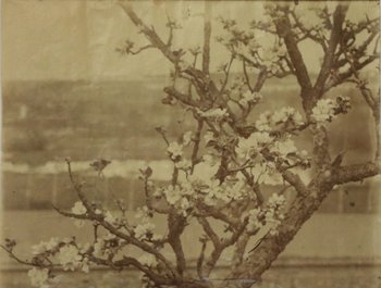 Eugène Atget - Vintage print