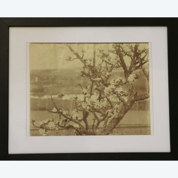 Eugène Atget - Vintage print