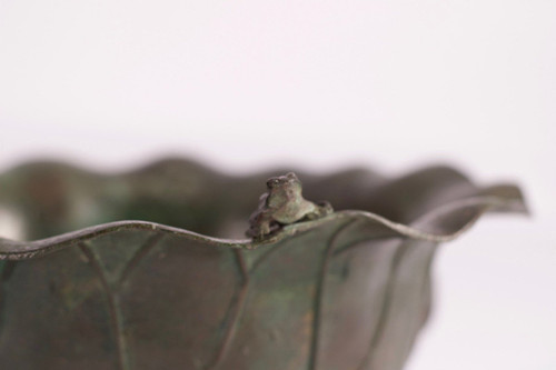 Ciotola tascabile vuota giapponese a forma di rana Ikebana con piedini di loto