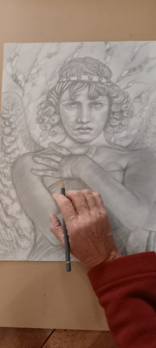 Ange de Monteverde/dessin