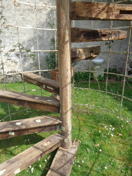 Spiral staircase XV- XVI th century In Oak