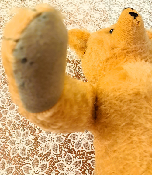 Teddy bear with glass eyes 1920s or 1930s height 57 cm
