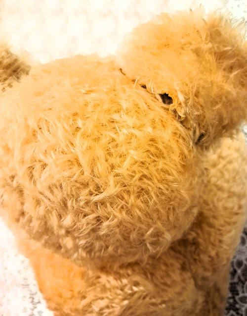 Teddy bear with glass eyes 1920s or 1930s height 57 cm